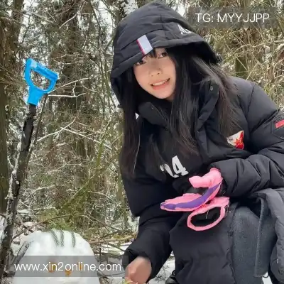 费仲季